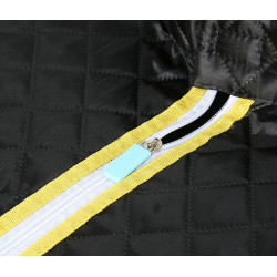 Mobili garinė pirtis