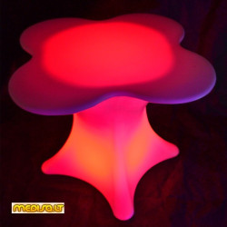 Pavyzdinė foto galerija