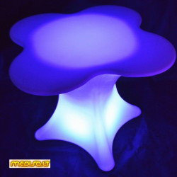 Pavyzdinė foto galerija