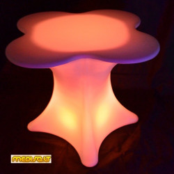 Pavyzdinė foto galerija