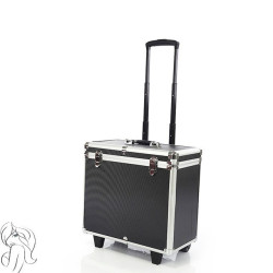 HIFU makšties stangrinimo aparatas