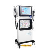 HYDRAFACIAL aparatas su deguonies funkcija 7 in 1