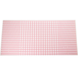 SLAUGOS LOVA DALI ECON SU ČIUŽINIU KUBA