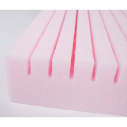 SLAUGOS LOVA DALI ECON SU ČIUŽINIU KUBA, STOVU