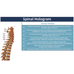 Masažinė lova kūnui 5D