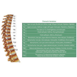 Masažinė lova kūnui 5D