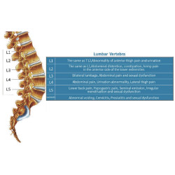 Masažinė lova kūnui 5D