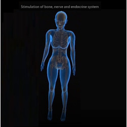 Masažinė lova kūnui 5D