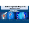 Fiziomagneto HIEMT EMTT terapijos įranga
