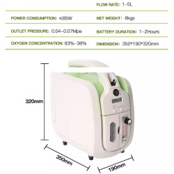 Deguonies generatorius nešiojamas 1 L
