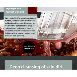 Veido terapijos aparatas Hydra Oxygen M6 odai atjauninti