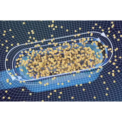 Krioterapijos kriolipolizės 4in1 kūno lieknėjimo aparatas