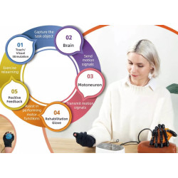 Rankų pirštų pratimų terapijos robotizuota reabilitacinė įranga  C11