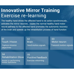 Rankų pirštų pratimų terapijos robotizuota reabilitacinė įranga  C11