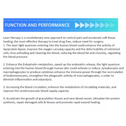Daugiafunkcis lazerinės terapijos aparatas