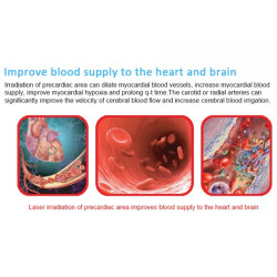 Daugiafunkcis lazerinės terapijos aparatas