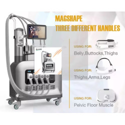 Funkcinis magnetinis stimuliatorius EMS 4