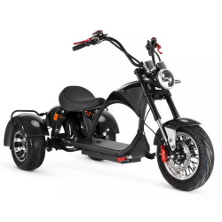 3 ratų elektrinis triratis 1000W 20AH