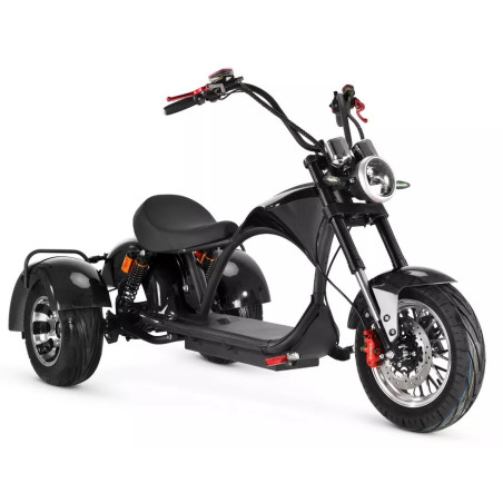 3 ratų elektrinis triratis 1000W 20AH