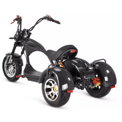 3 ratų elektrinis triratis 1000W 20AH