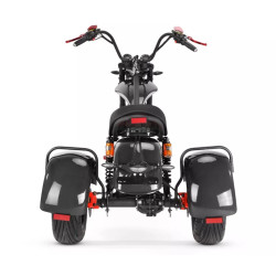 3 ratų elektrinis triratis 1000W 20AH