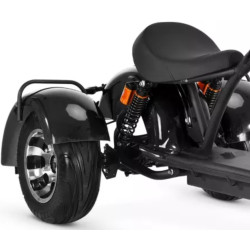 3 ratų elektrinis triratis 1000W 20AH