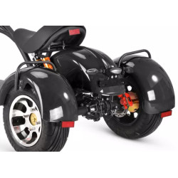 3 ratų elektrinis triratis 1000W 20AH