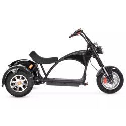 3 ratų elektrinis triratis 1000W 20AH