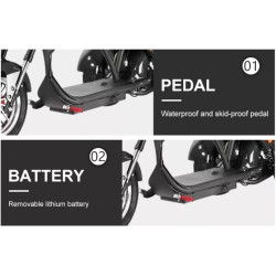 3 ratų elektrinis triratis 1000W 20AH