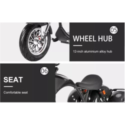 3 ratų elektrinis triratis 1000W 20AH