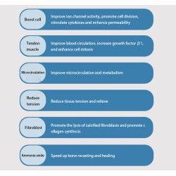 Smūginės, vibracinės bangos terapijos aparatas