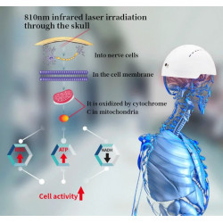 Transkranijinis smegenų kartografavimo įrenginys