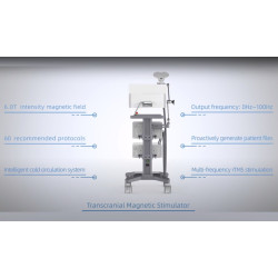Transkranijinis magnetinis smegenų stimuliatorius