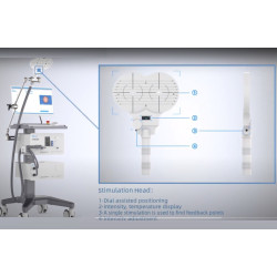 Transkranijinis magnetinis smegenų stimuliatorius