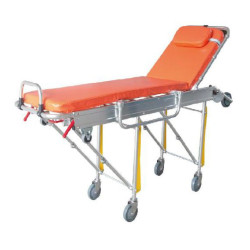 Neštuvai greitosios pagalbos automobiliui