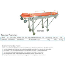 Neštuvai greitosios pagalbos automobiliui