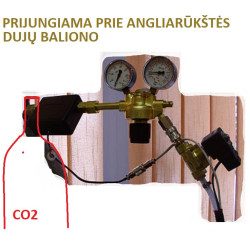Sausos angliarūgštės CO2 kapsulė