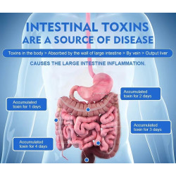 Hidroterapijos detoksikacinė įranga žarnyno SPA terapeutų tinklo sistemai