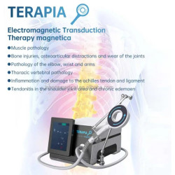 Elektromagnetinis skausmo malšinimo impulsinis prietaisas