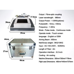 Odos atjauninimo fizioterapijos 980nm diodo lazeris