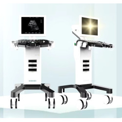 Ultragarsinis aparatas juodai baltas
