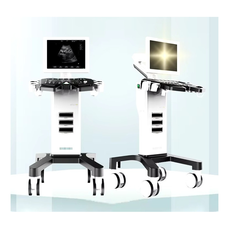 Ultragarsinis aparatas juodai baltas