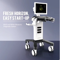 Ultragarsinis aparatas juodai baltas