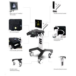 Ultragarsinis aparatas juodai baltas