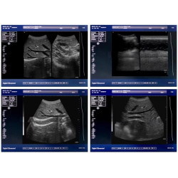 Veterinarinis ultragarsinis aparatas