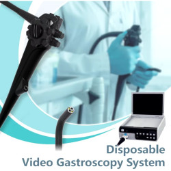 Lankstus vaizdo gastroskopas