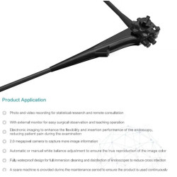 Lankstus vaizdo gastroskopas