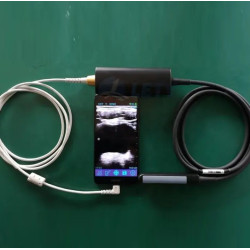 Gyvūnų tiesiosios žarnos ultragarso skeneris