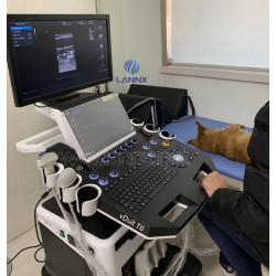 Veterinarinis ultragarsinis aparatas