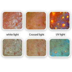 Odos analizatorius 3D AI